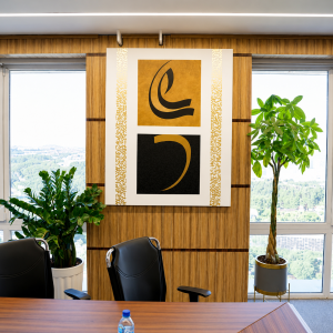 Manager's Office at Sina Energy Holding